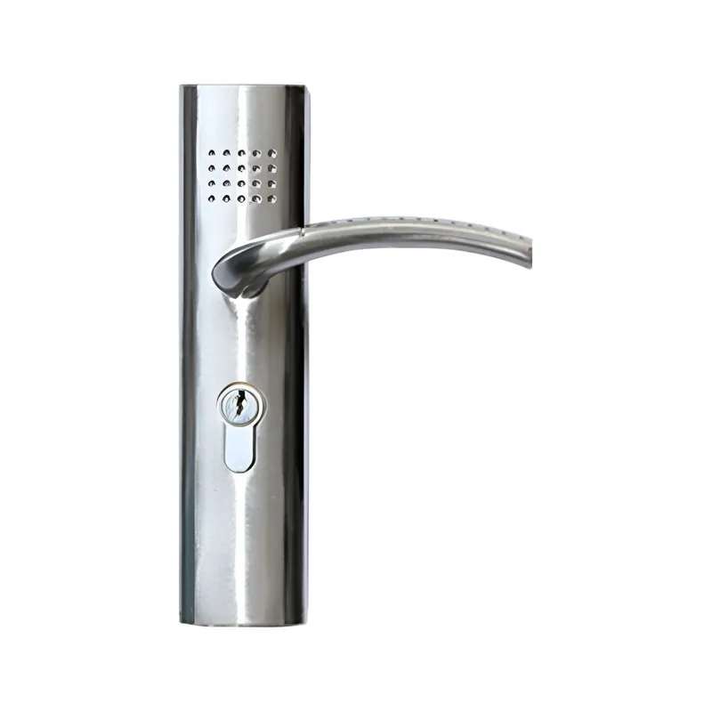 Broasca completa si maner cu rozeta, argintiu, chei incluse, pentru usile de interior Style-505 Doar azi