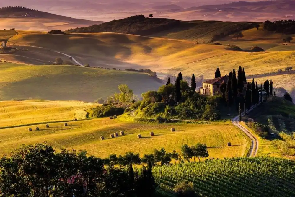 Fototapet CONSALNET 169P8, model TUSCANY, multicolor, 368 x 254 cm Vezi acum