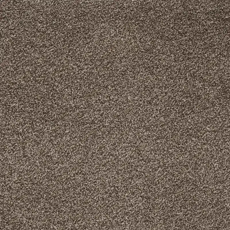 Mocheta Butterfly CRESCENDO 45, inaltime fir 6 mm, trafic intens, latime rola 4 sau 5 m Comandă acum