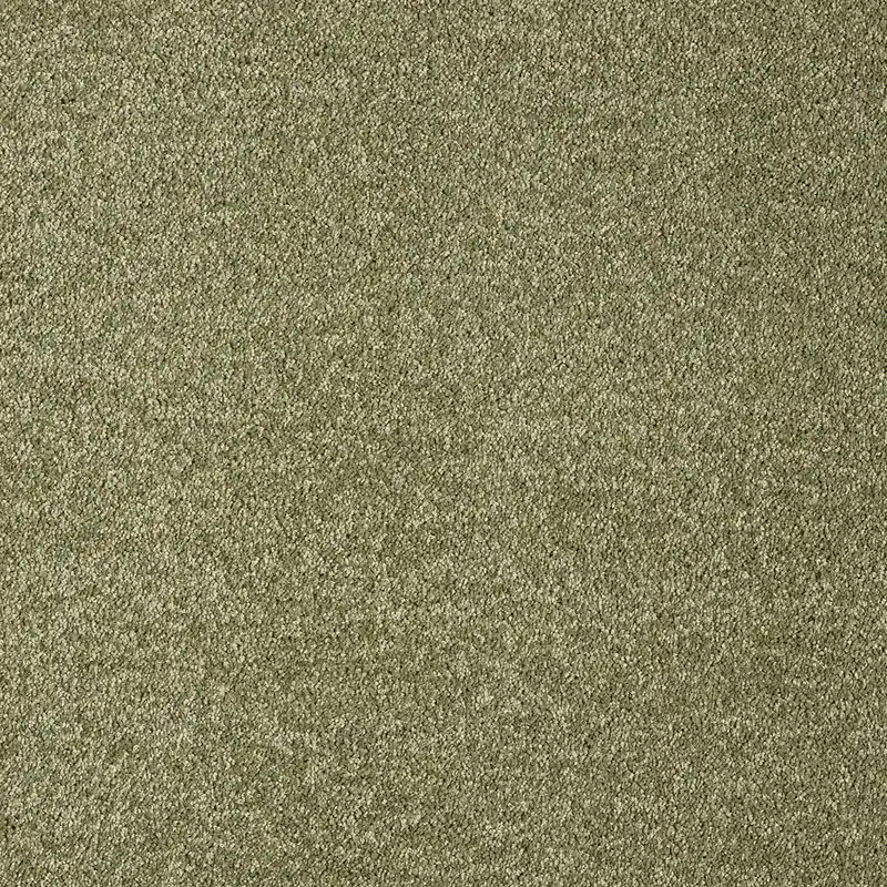 Preferatul clienților Mocheta Butterfly SERAPH 29, inaltime fir 9.5 mm, trafic usor, latime rola 4 sau 5 m