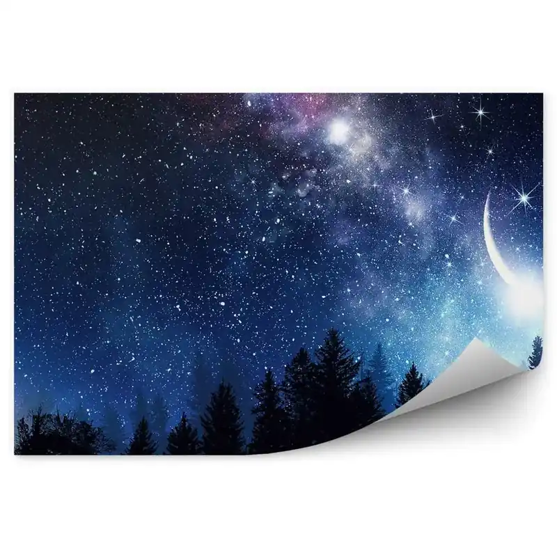 Preț mic Fototapet pentru perete Conifere Cer Cer Înstelat Calea Lactee Luna