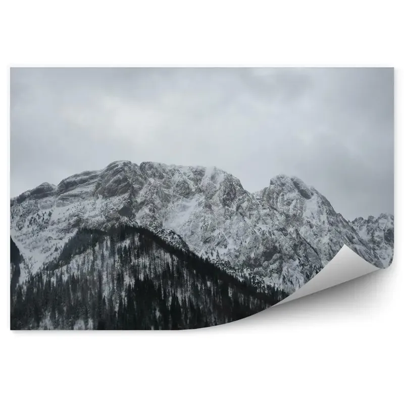 Ofertă de sezon Decor fototapet Munți Vârfuri Pădure Pomi De Crăciun Zăpadă Giewont