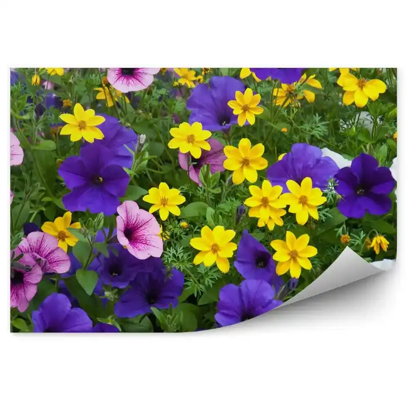 Reduceri Fototapet perete Flori Colorate Plante De Poiana Câmp Verde