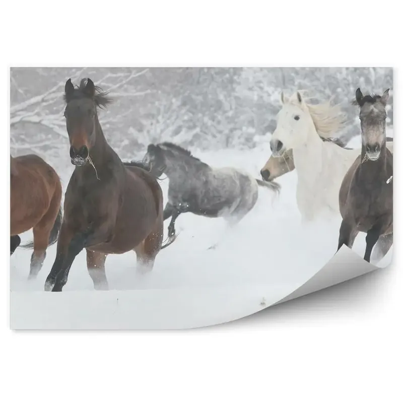 Fototapet perete Turma Alergătoare De Cai Copaci Zăpadă Iarnă Super ofertă