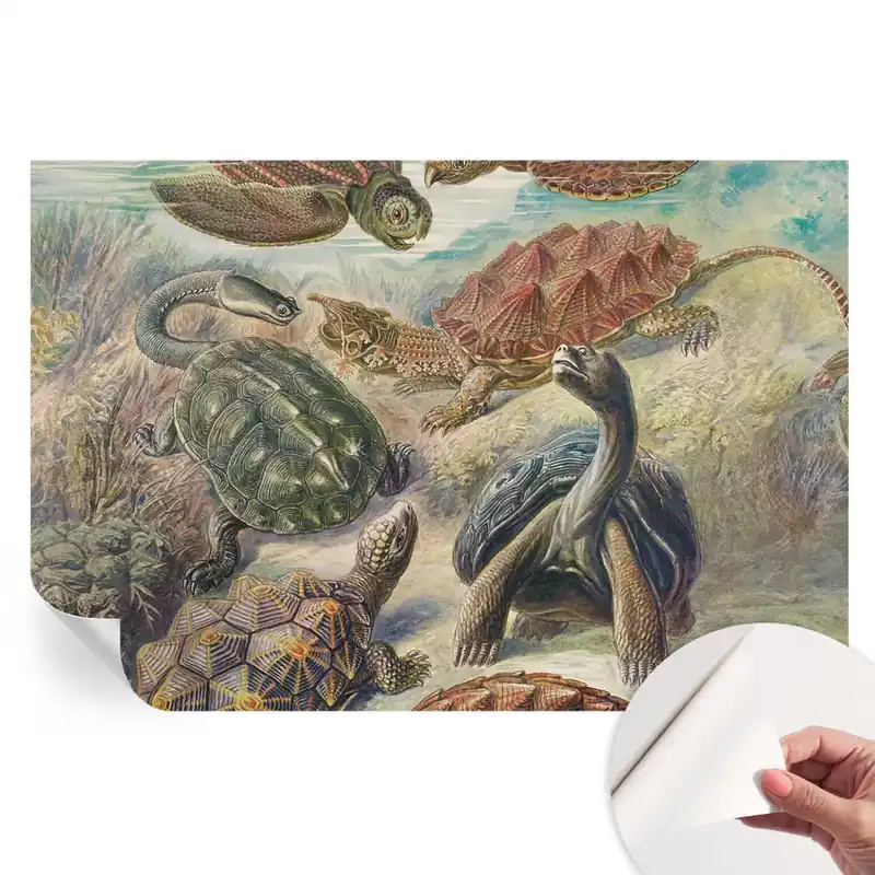 Noutate Fototapet modern Fauna țestoaselor pentru sufragerie