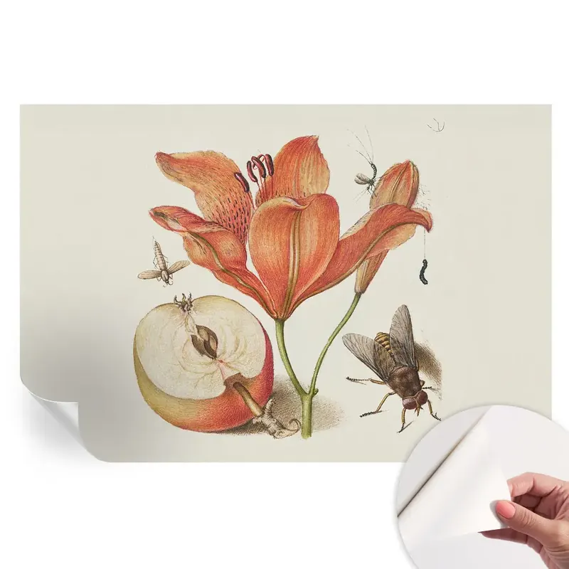 Cel mai vândut Fototapet modern pentru sufragerie cu ilustrație botanică