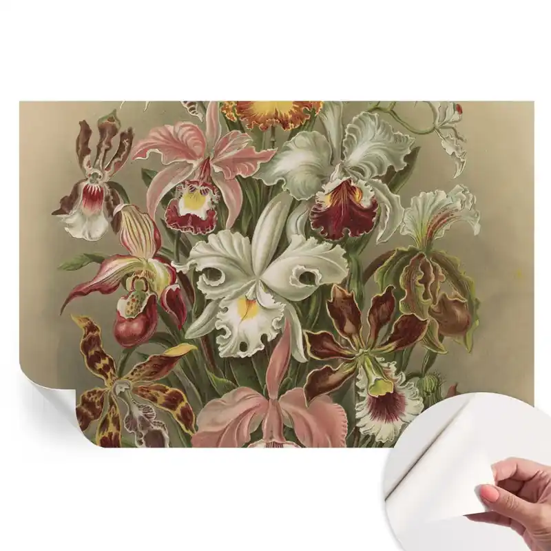 Bestseller Tapet fotografic autoadeziv model Eleganță florală