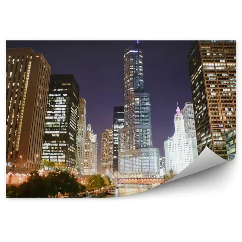 Fototapet perete Zgârie-Nori Din Chicago Lumini De Noapte Copaci De Râu Pod Umbre Vezi acum