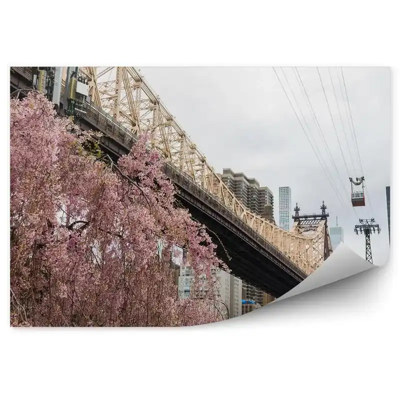 Ofertă de sezon Fototapet pentru perete Floare De Cireș Brooklyn Bridge Zgârie-Nori Râu