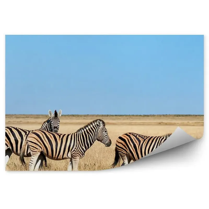 Decor fototapet Zebre Savana Africa Cer Super ofertă