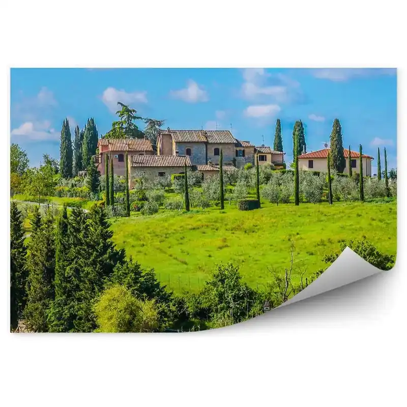 Cumpără online Fototapet perete Construirea Copaci Podgorie Cer Nori Toscana Italia