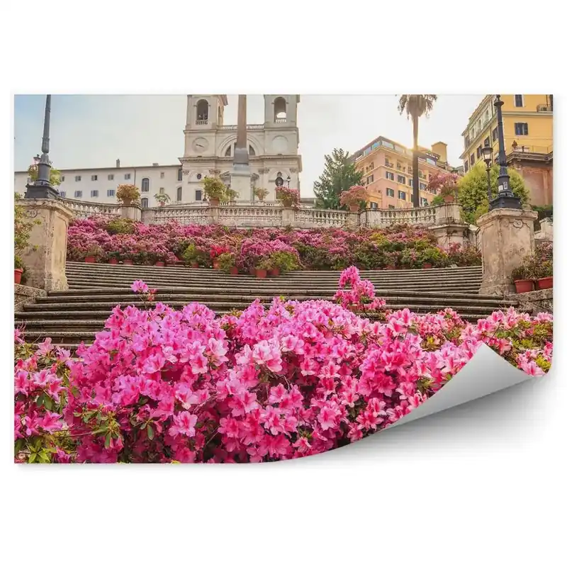 Preț mic Decor fototapet Trinità Dei Monti Biserica Cladiri Scari Flori Plante