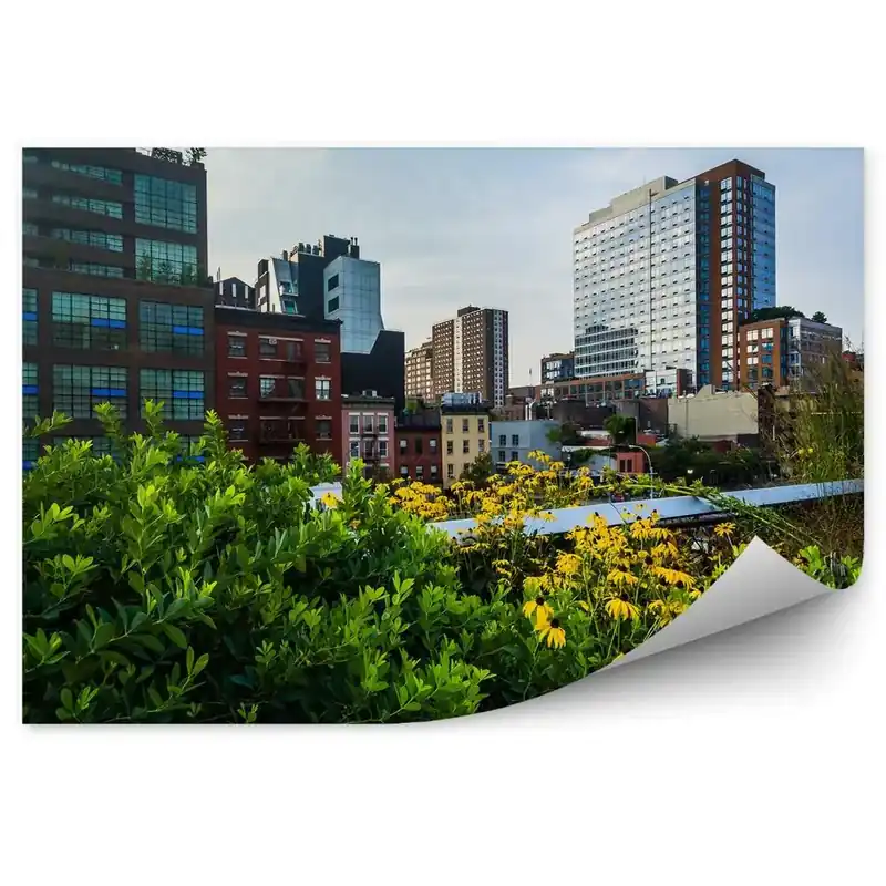 Fototapet vintage Zgârie-Nori Flori Plante New York Chelsea Ofertă