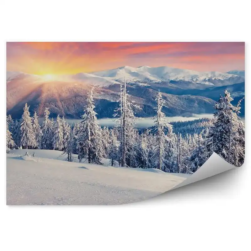 Ofertă specială Decor fototapet Rasarit Conifere Copaci Plante Iarna Zapada Munti
