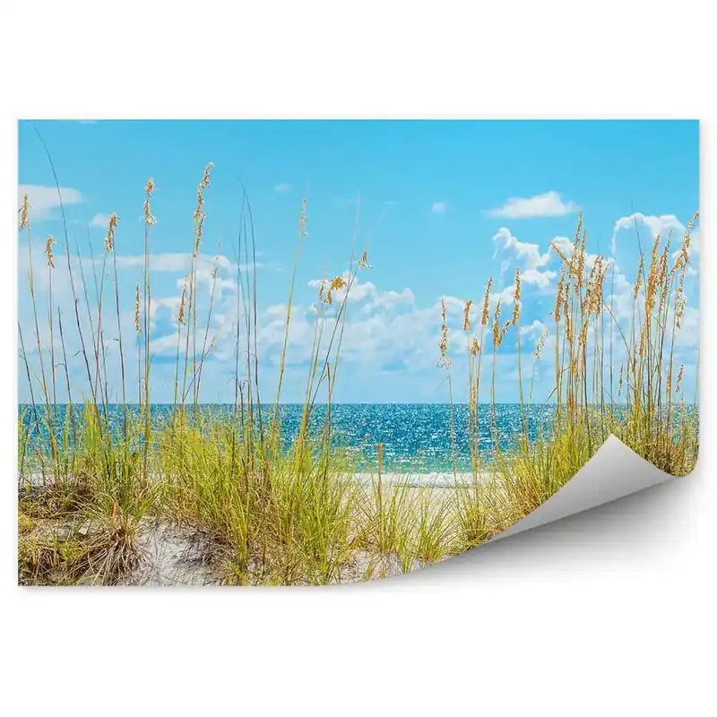 Plată sigură Decor fototapet Mal Însorit, Mare Neagră, Plajă, Plante, Cer, Nori, Ocean
