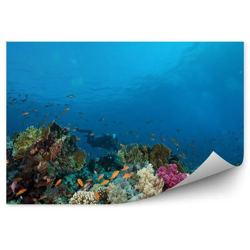 Bestseller Fototapet pentru perete Recif De Corali Pește Colorat Scafandru Apă Oceanică