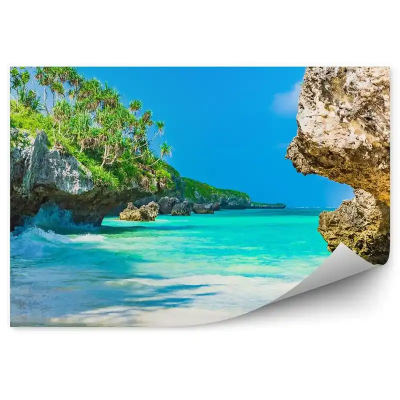 Disponibil imediat Fototapet pentru perete Copaci Oceanici Stânci Tanzania Valuri Plaje Iarbă