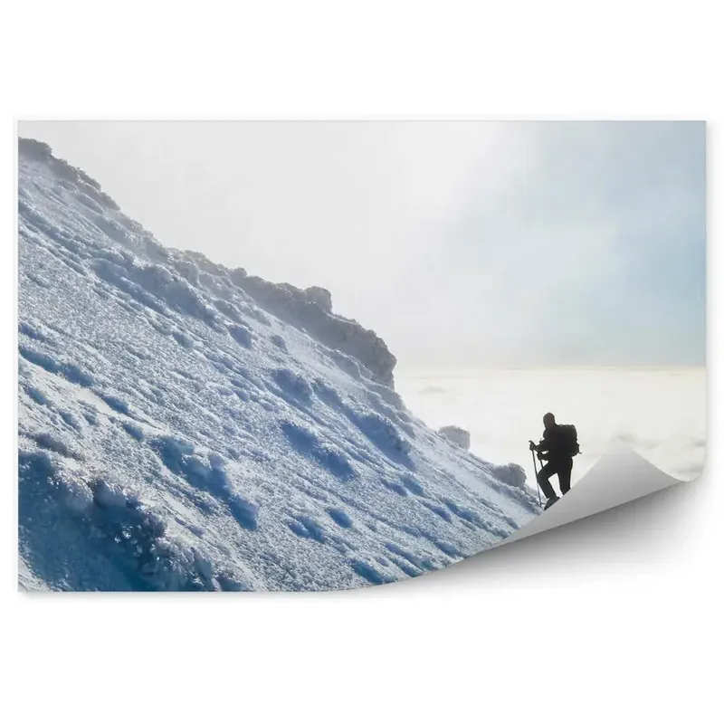 Cumpărături sigure Fototapet vintage Excursionist Munți Iarnă Zăpadă Ceață Cer