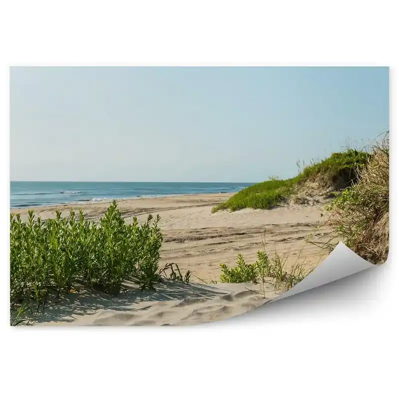 Retur ușor Fototapet pentru perete Plaja Dune Cer Ocean Plante Carolina De Nord