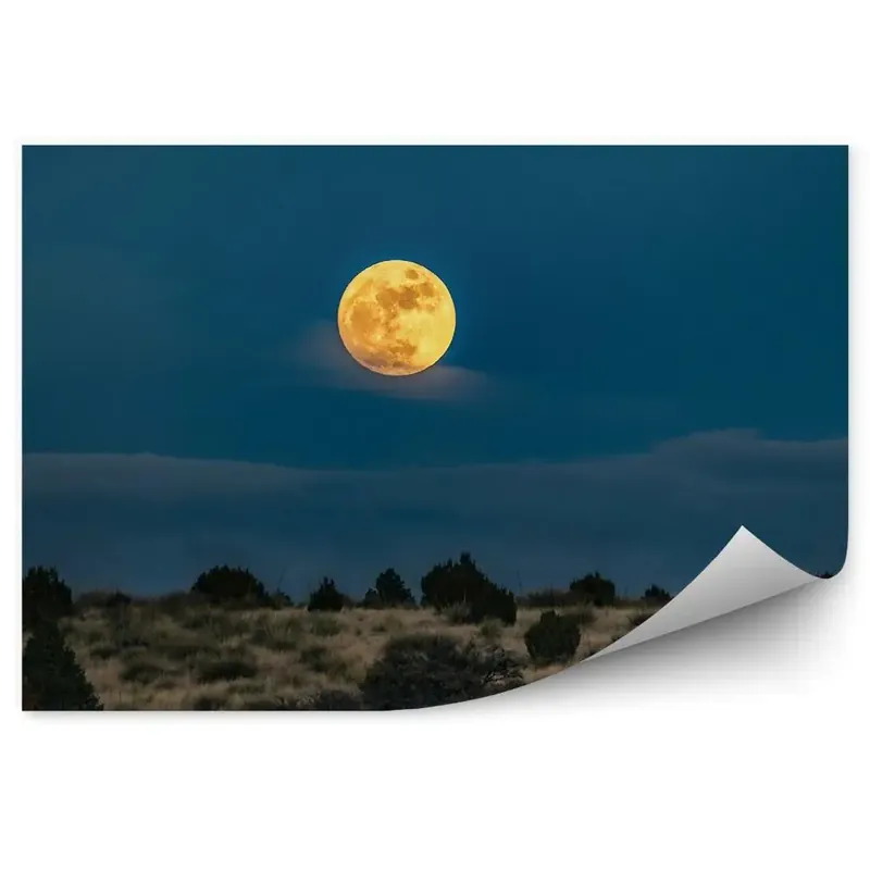 Super ofertă Fototapet Luna Cer Noapte Plante Natura Iarba