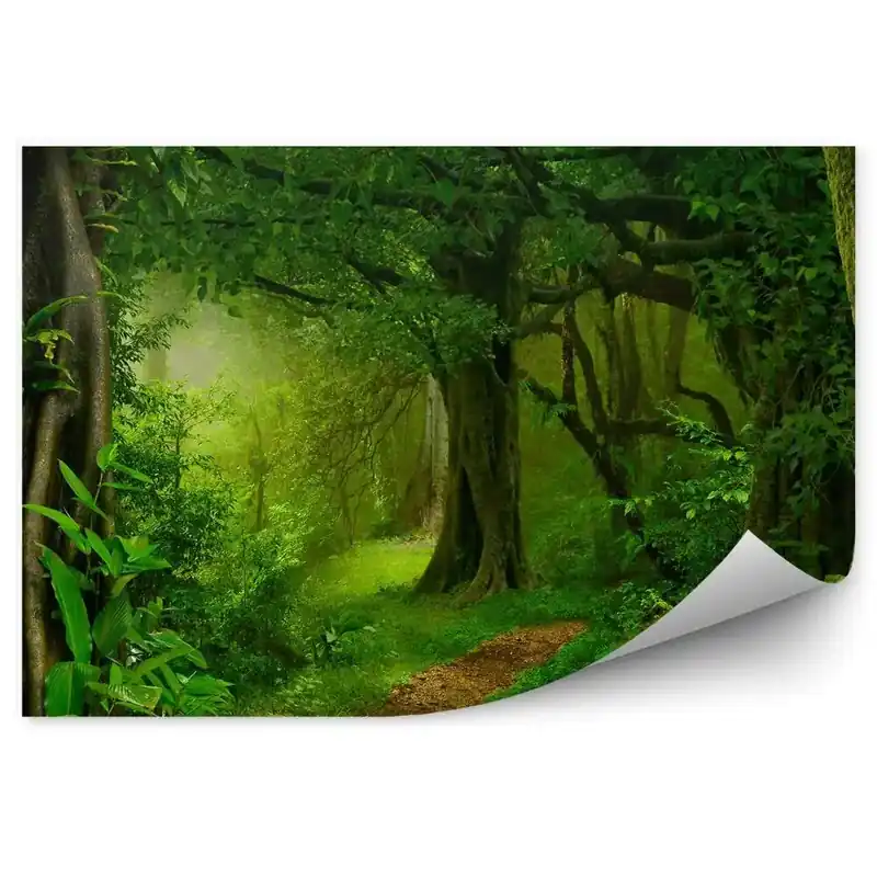 Decor fototapet Natură vegetație jungla verde Disponibil imediat