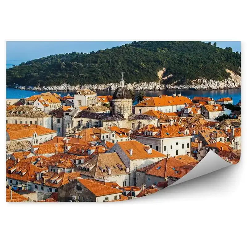 Decor fototapet Orașul vechi Dubrovnik insula natură plante Reducere specială
