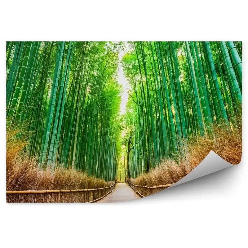 Preț redus Fototapet vintage Drum de cale forestieră de bambus din Japonia