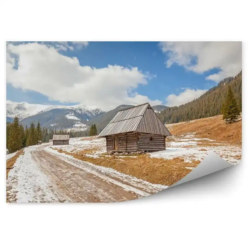 Fototapet Cabane de lemn, drum de pământ, Munții Tatra, natură Retur ușor