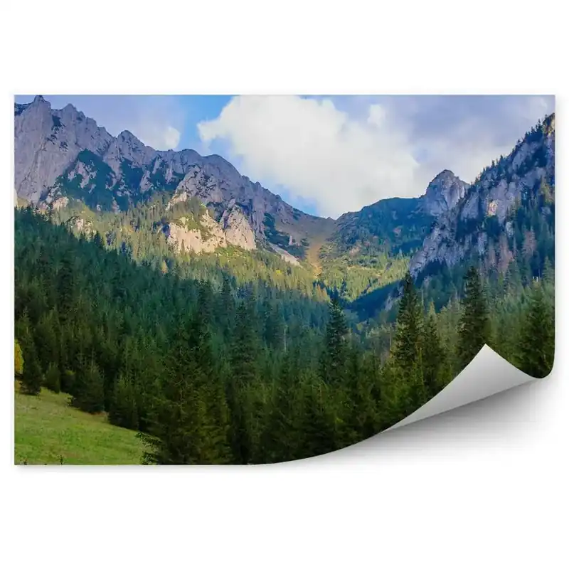 Mai ieftin Fototapet pentru perete Munții Tatra Zăpadă Pădure Iarbă Cer Nori