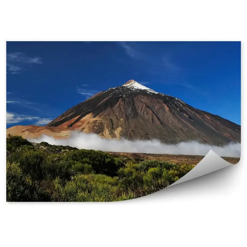 Fototapet vintage Vulcanul Teide Copaci Ceață Cer Nori Doar azi