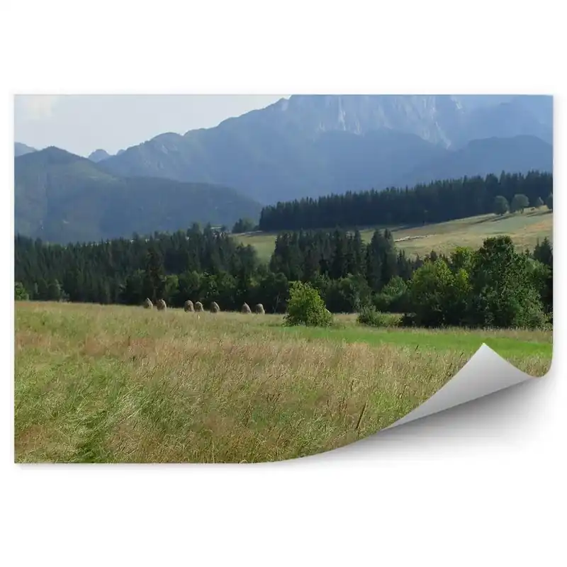 Fototapet vintage Munții Giewont Conifere Luncă Cer Nori Chilipir