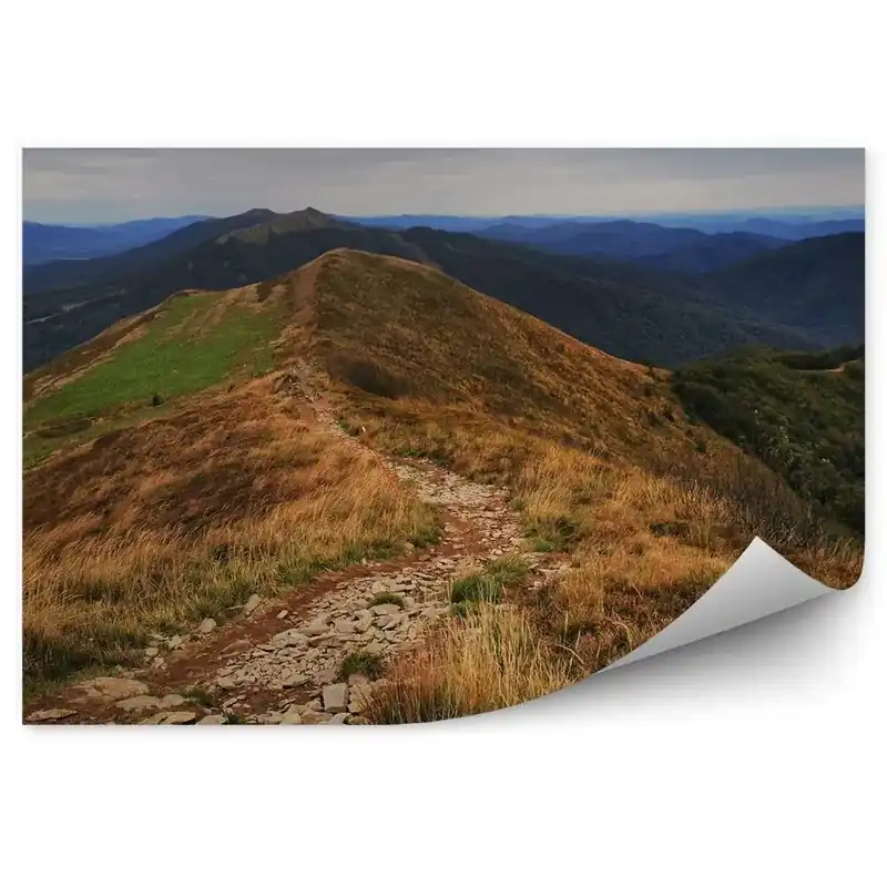 Ofertă de sezon Fototapet vintage Traseul Montan Bieszczady, Păduri, Copaci