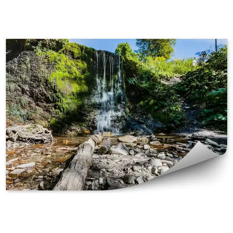Fototapet Cascada Mică, Vegetație, Stânci, Munții Bieszczady Livrare expres