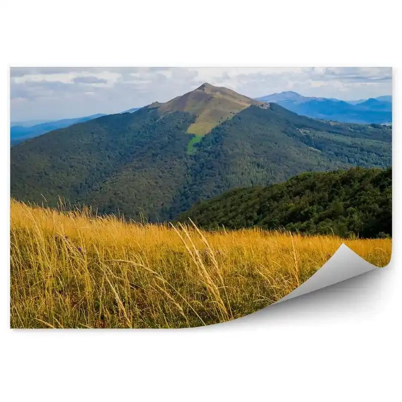 Fototapet pentru perete Munții Din Munții Bieszczady Acoperiți Cu Vegetație Verde Cumpără online