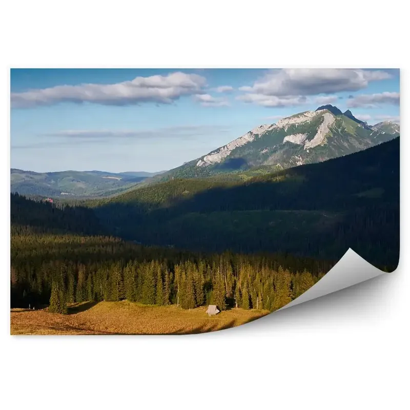 Fototapet pentru perete Rusinowa Limpede Munți Umbra Copaci Cer Nori Munții Tatra Retur ușor