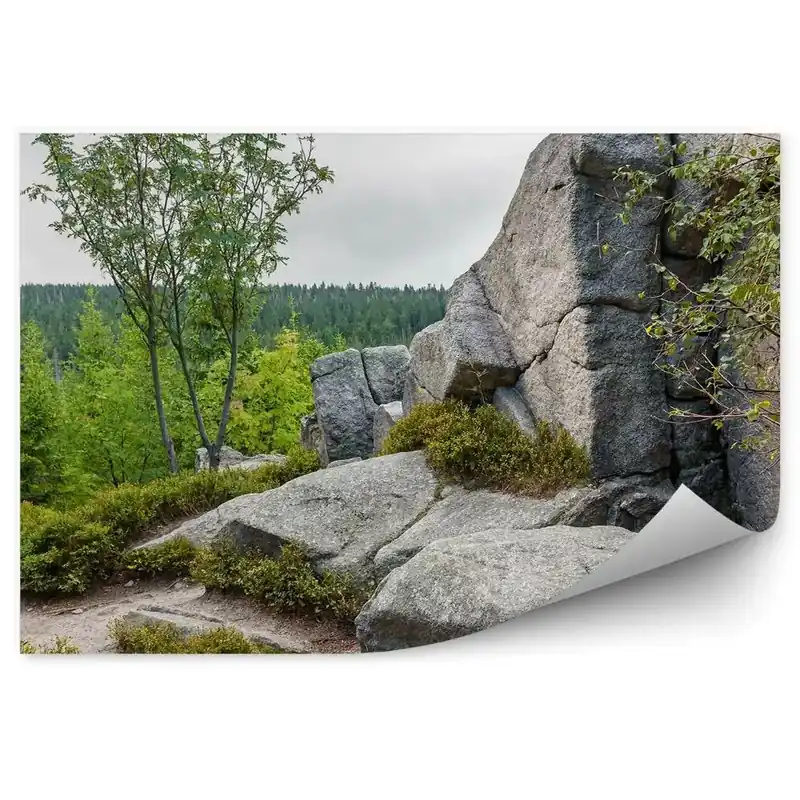 Reducere specială Fototapet pentru perete Stânci, Munți, Păduri, Copaci, Munții Karkonosze