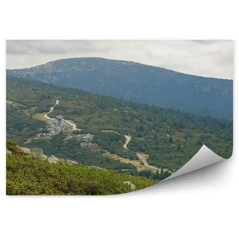 Fototapet perete Traseul Verde Natural Al Munților În Munții Karkonosze Noutate