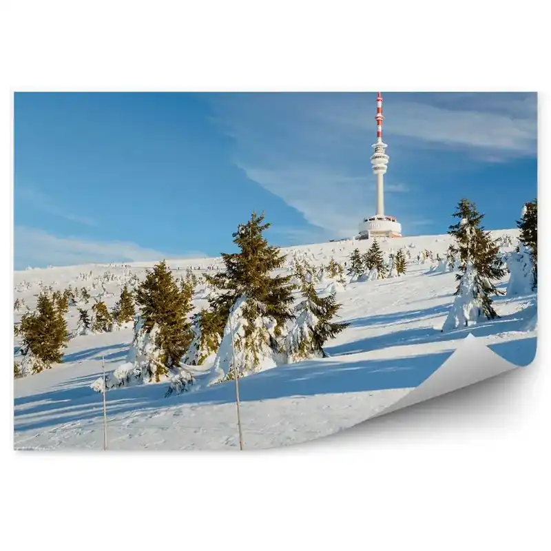 Fototapet perete Pomi De Crăciun De Munte Acoperiți De Zăpadă Sudeți Iarna Reducere