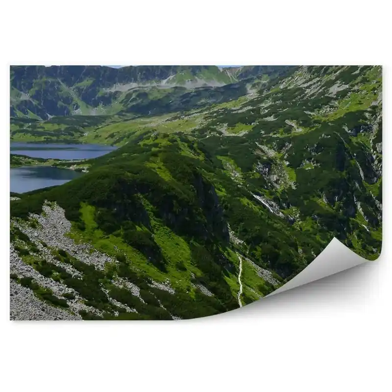 Decor fototapet Valea Celor Cinci Iazuri, Munții Tatra Livrare rapidă