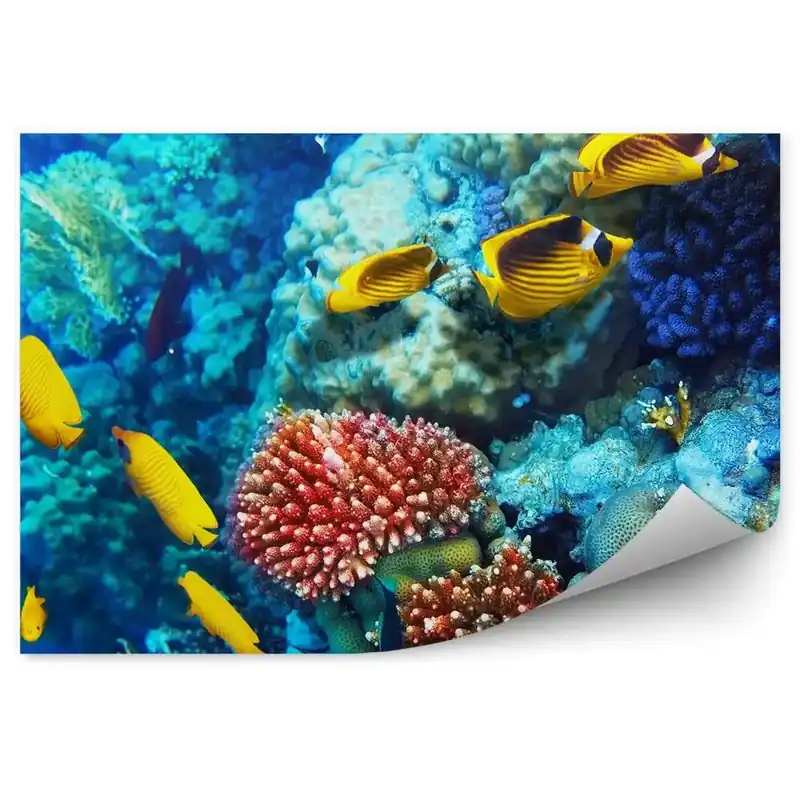 Bestseller Fototapet pentru perete Pește Galben Coral De La Marea Roșie