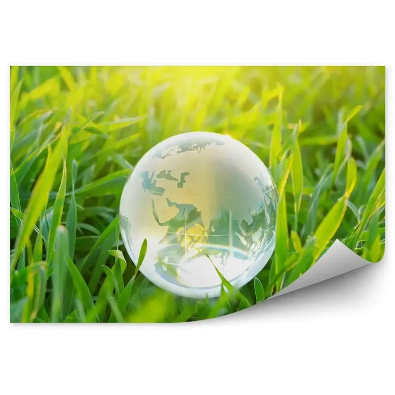 Reducere extra Fototapet pentru perete Sferă Planeta Pământ În Iarbă Verde Natură