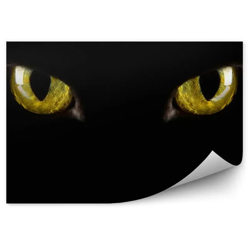 Preț promoțional Fototapet perete Fundal Negru Ochi Galbeni Întuneric Întuneric Halloween