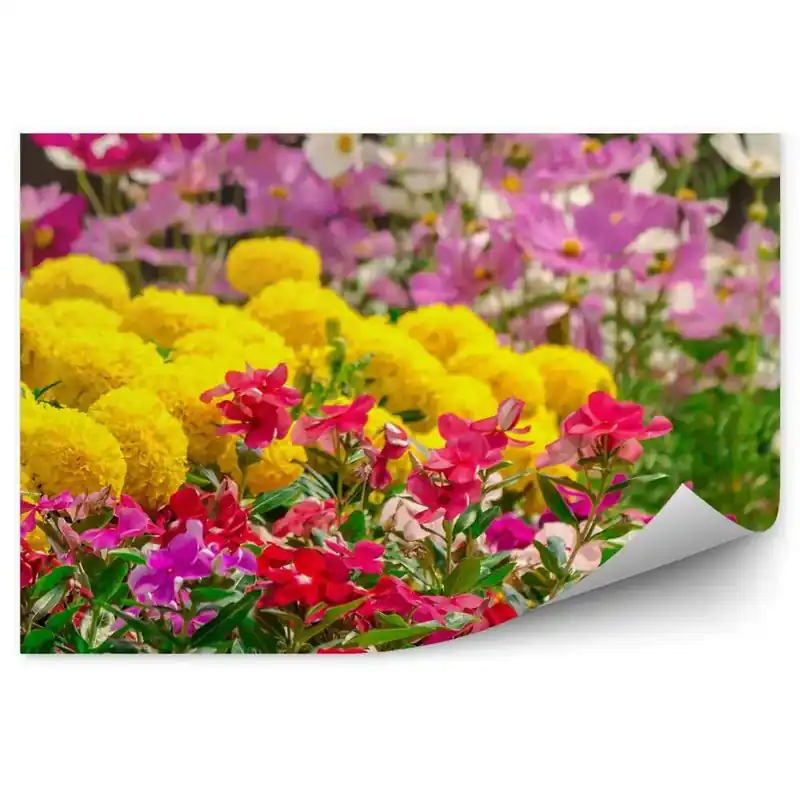 Cumpără online Decor fototapet Grădină De Flori Cu Paturi De Flori Multicolore