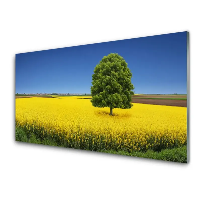 Transparenţă Câmp De Rapiță Și Copac Verde Reduceri
