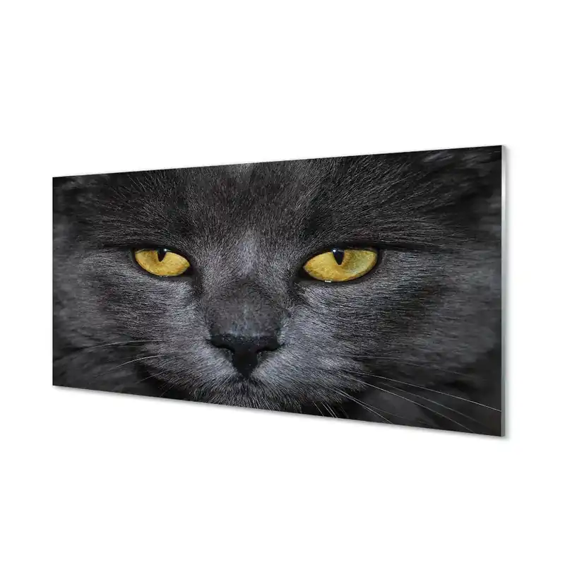 Expediere rapidă Tablou printat pe sticlă Pisica Neagra Cu Ochi Galbeni