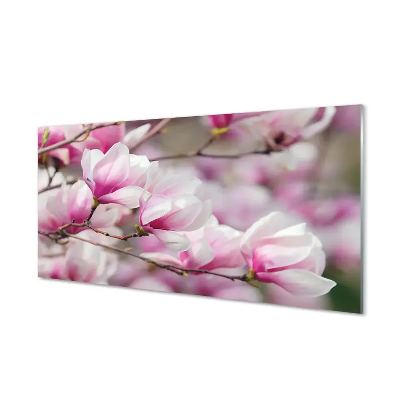 Vezi acum Tablou de sticlă Ramuri De Magnolie