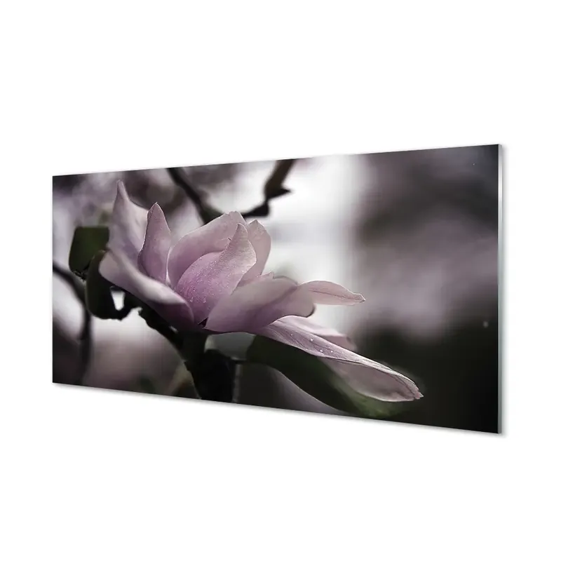 Plată sigură Fotografie imprimată pe sticlă Magnolia Gri