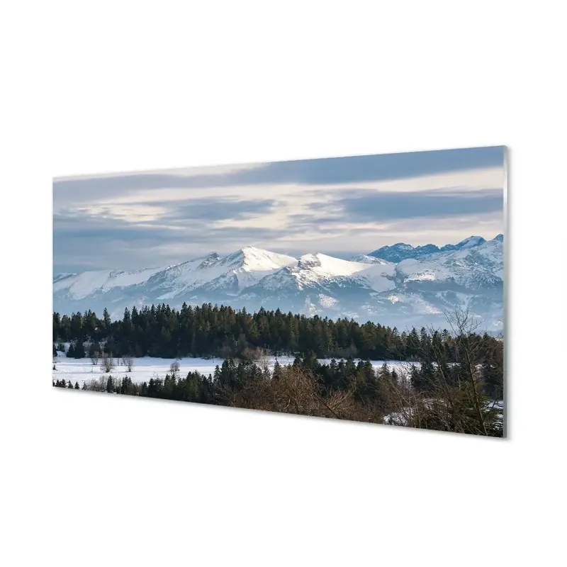 Fotografie imprimată pe sticlă Păduri De Iarnă De Munți Lichidare de stoc