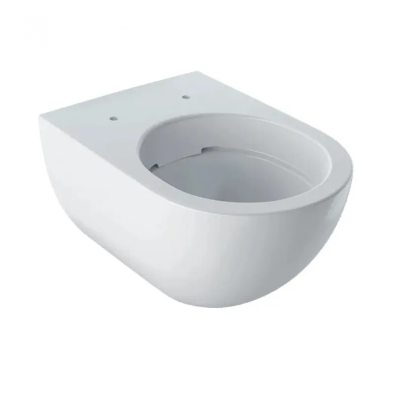 Plată securizată Vas Wc Geberit Acanto Rimfree suspendat