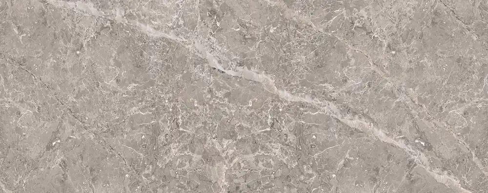 Popular FAIANTA, PORCELANOSA GRUPO, ELEGANT GREY BOOKMATCH 150X59.6 cm, gri